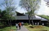 Forest Culture Center