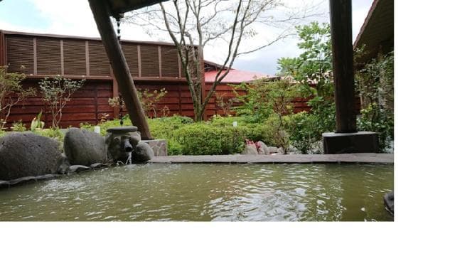 From inside the open-air bath