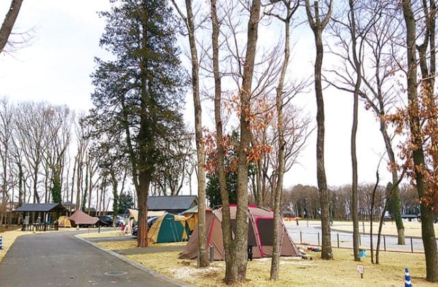三王山ふれあい公園キャンプ場