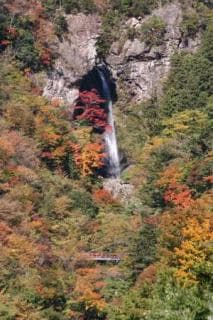 Oara Falls (far view)
