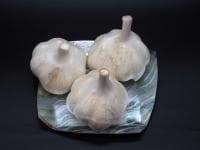 Garlic Yoshida White from Yamato-cho