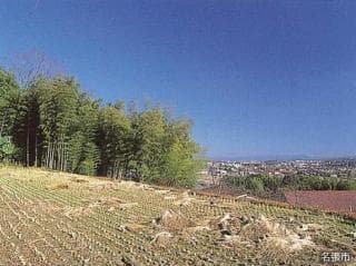 View from Katsute Shrine