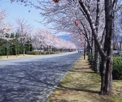 Kose Sports Park