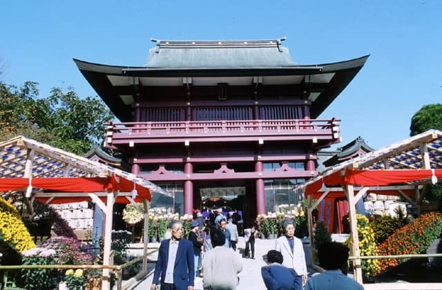 Chrysanthemum of Kasama Inari Shrine