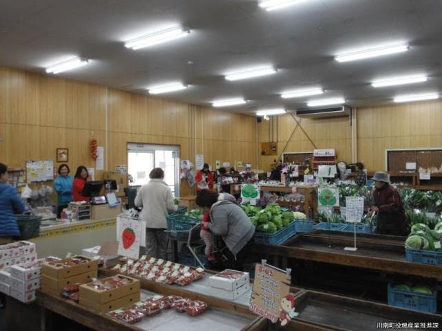 The inside of the store