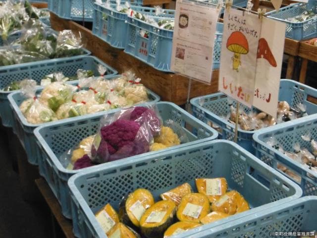 Fresh vegetables line up