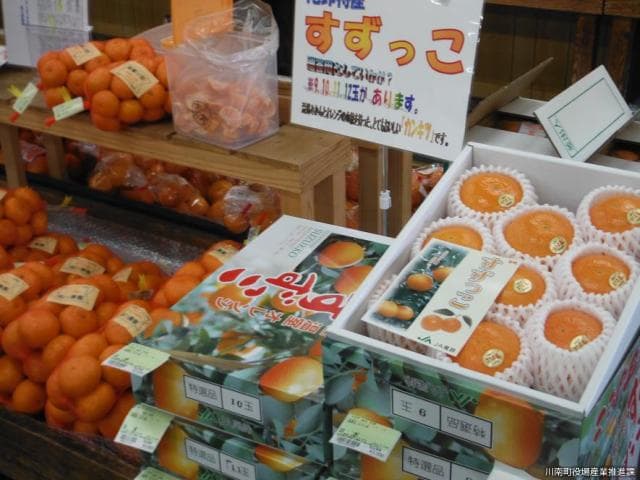 Fruits are also abundant