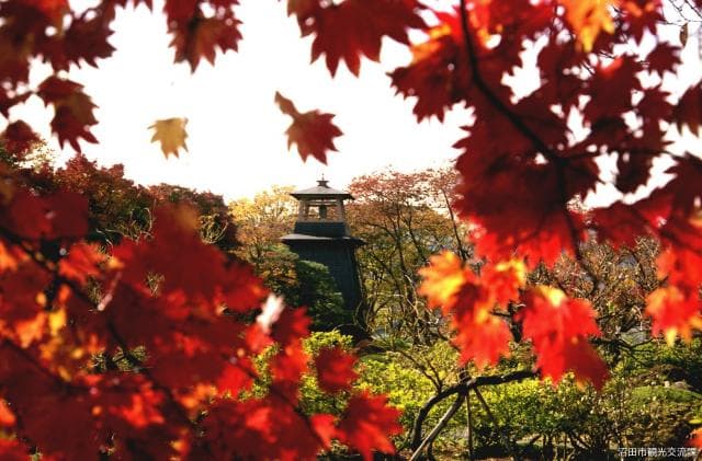 Autumn leaves of Numata Park (bell tower)