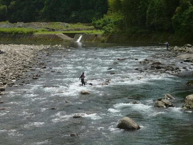 Enjoy fishing in a calm river
