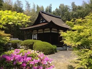 春の芦浦観音寺