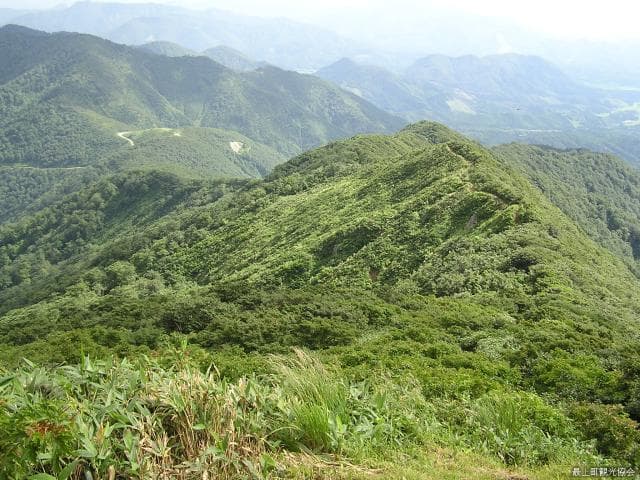 禿岳