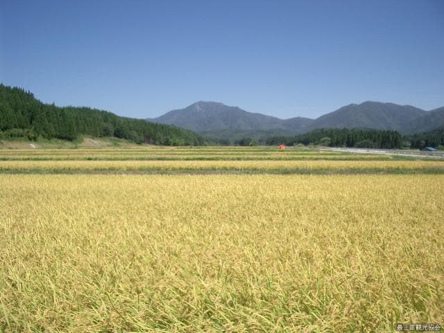 禿岳