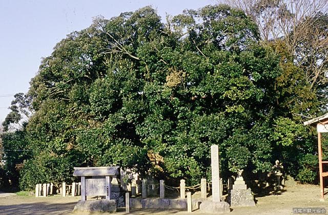 Shinmei-sha Shrine