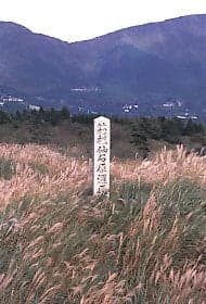 Sengokuhara Wetland Plant Community