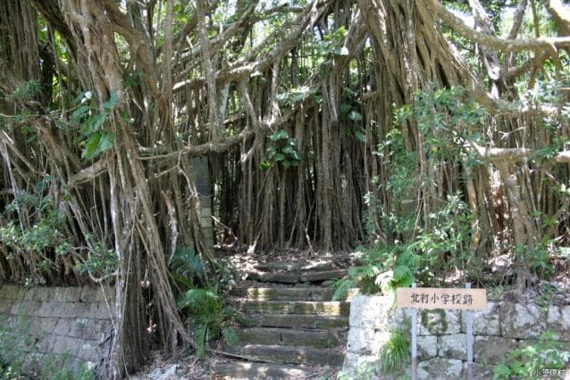 Ruins of Kitamura Elementary School