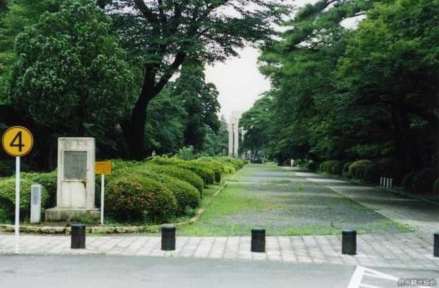 Tamareien