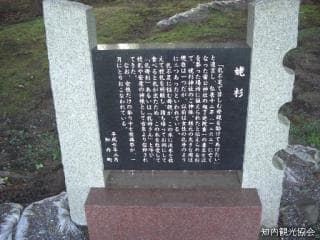 Ubasugi