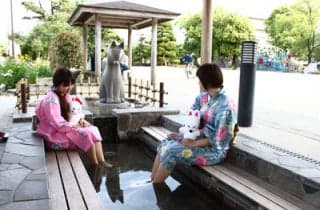 Footbath (Yudaonsen) 1