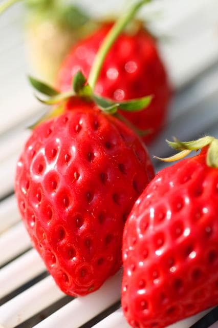 Omagaricho Strawberry