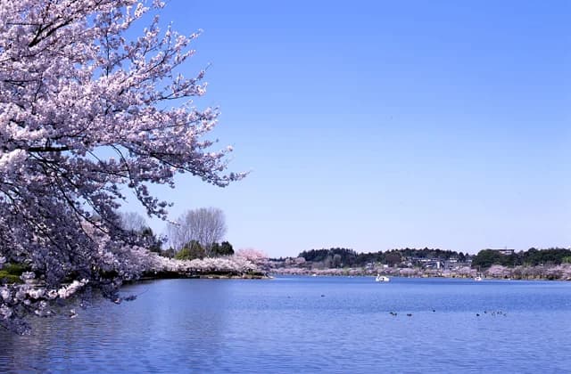 千波公園
