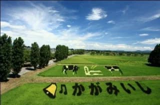 2012 Tambo Art "Landscape"