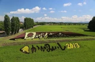 2013 Tambo Art "Momotaro"