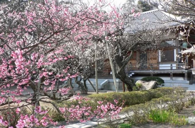 Jifuku-ji Temple