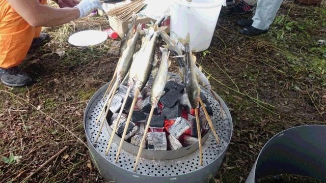 鮎バトル　鮎の振る舞い