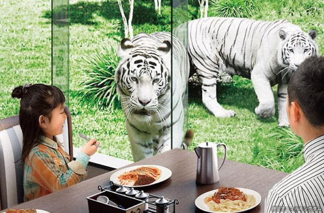 Animal kingdom