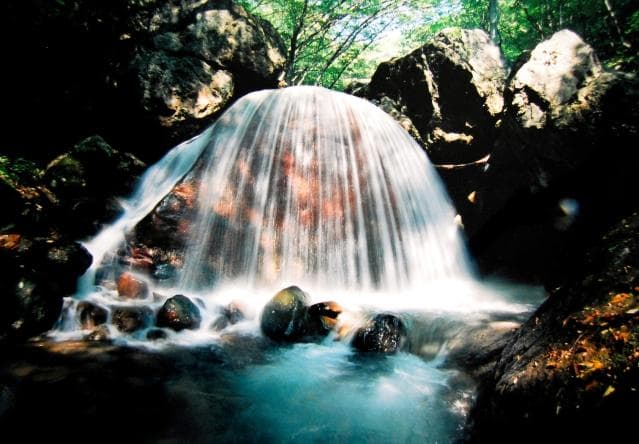 Offered by Otama Village Tourism Association