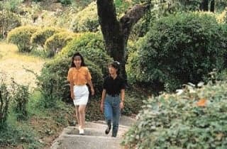 Wakayama Park / Azalea