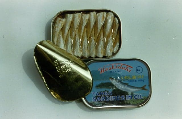 Oil sardine