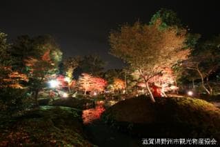 Hyozutaisha Shrine Garden