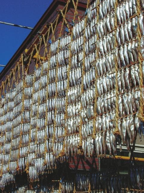 Dried shishamo soup