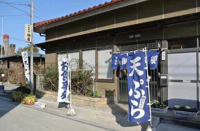 Hayashiya (river fish restaurant)