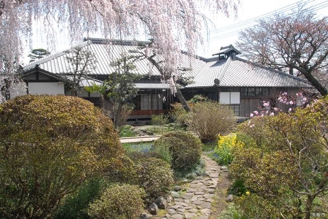 The backyard of the Takeshi Yaita Memorial Hall, where weeping cherry trees are in full bloom.