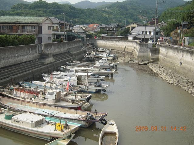 Matsuai's boat pool