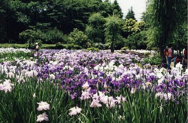 Hunan Sanitation Association Shobuen Garden