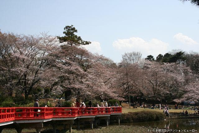 Iwatsuki Castle Ruins Park