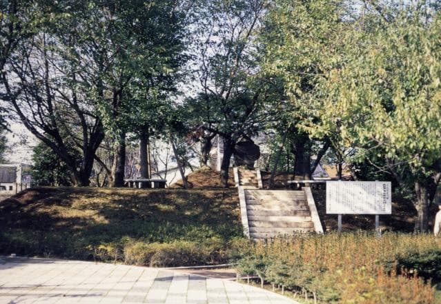 The ruins of Tagaya Shiromoto Maru