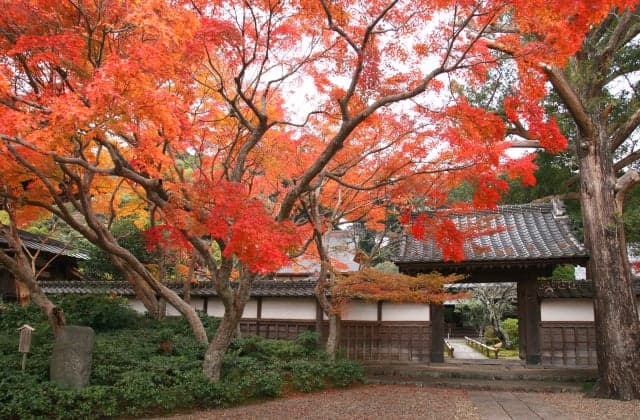Chosho-ji Temple in Autumn