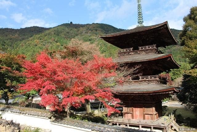 Tokugenin three-story pagoda