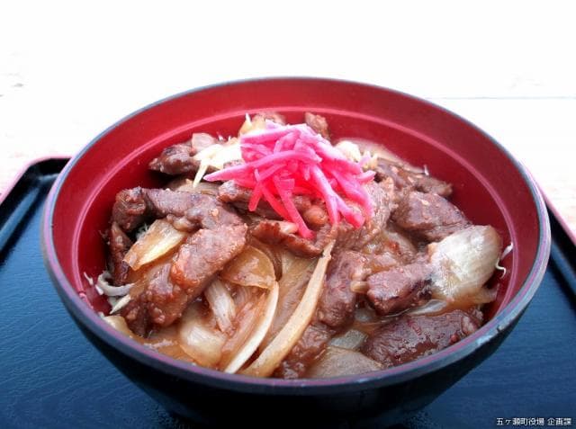 五ヶ瀬「特ホル丼」