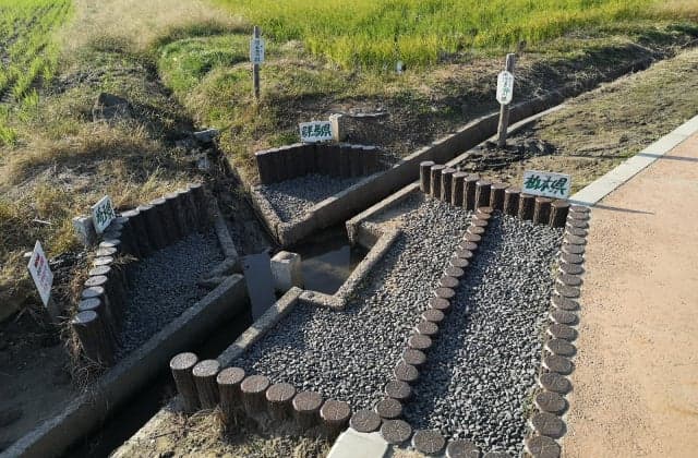 Three prefectural borders