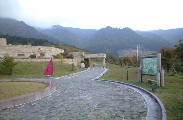 The Forest of Hibiki