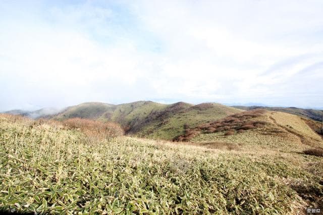 四国カルスト 大川嶺