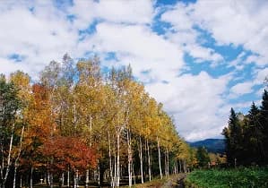 Hiwada Kogen