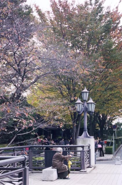 Green area on the banks of Hirose River