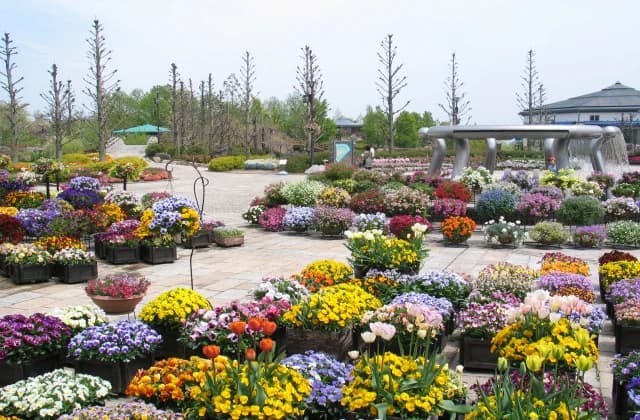 Community square