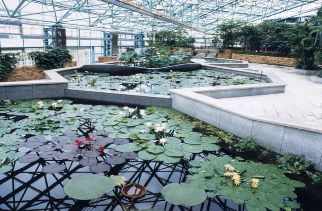 Atrium (greenhouse)